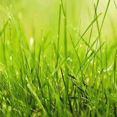 ISO 14001 BELGELENDİRME SÜRECİ ISO 14001 BELGELENDİRME SÜRECİ