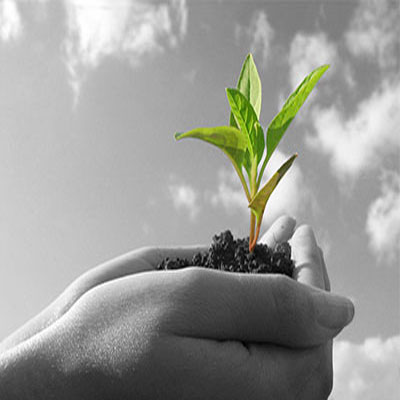 ISO 14064 BAŞVURU İÇİN GEREKLİ EVRAKLAR