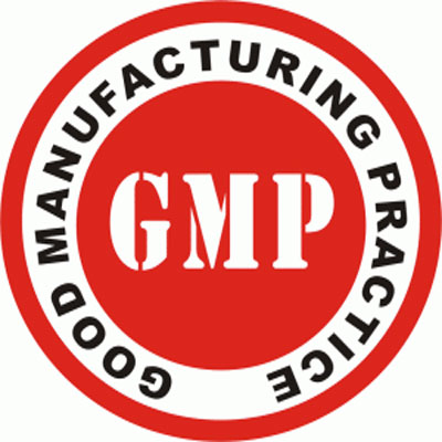 CHE COSA È GMP?