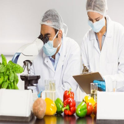 ISO 22000 BELGESİ NASIL ALINIR?