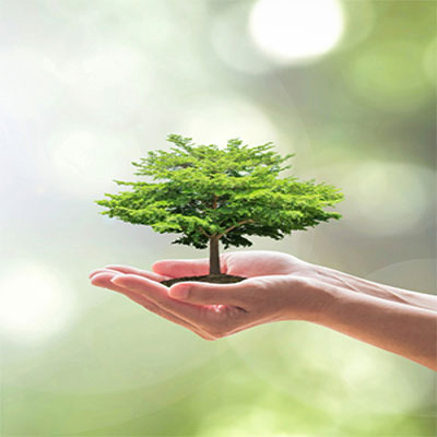 ECO Belgelendirme Başvuru İçin Gereken Evraklar ECO Belgelendirme Başvuru İçin Gereken Evraklar