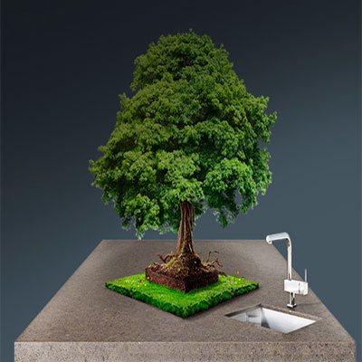 ECO Standartları ECO Standartları