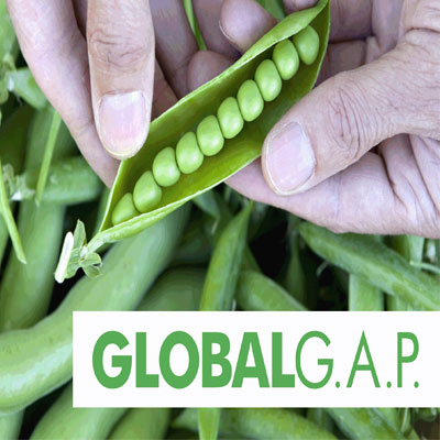 WAS IST GLOBALGAP? WAS IST GLOBALGAP?