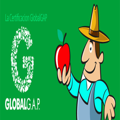 برای کسب گواهینامه GLOBALGAP