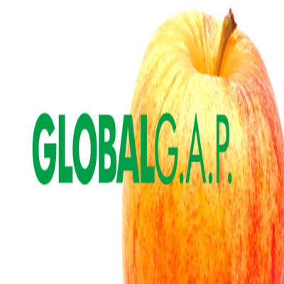 GLOBALGAP BELGESİ NEREDEN ALINIR?