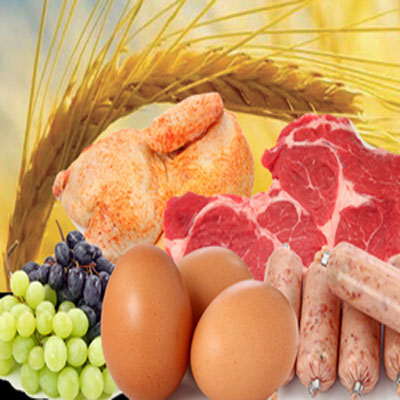 Certificado de conformidad islámica HALAL Certificado de conformidad islámica HALAL