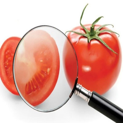 PROCEDIMIENTOS HACCP