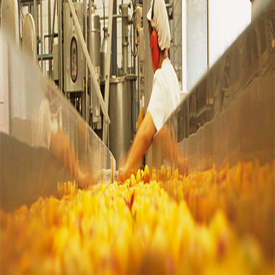PROCESO DE CERTIFICACION HACCP PROCESO DE CERTIFICACION HACCP