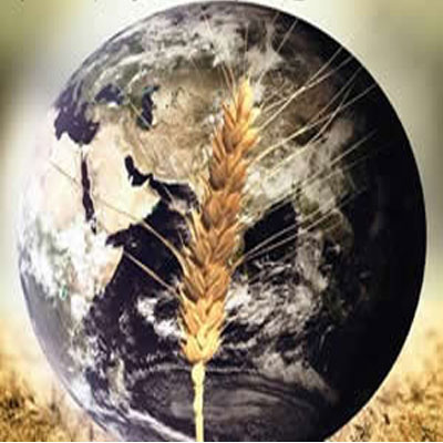 PROCEDIMIENTOS HACCP PROCEDIMIENTOS HACCP