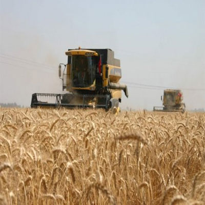 COME OTTENERE IL CERTIFICATO DI BUONE PRATICHE AGRICOLE