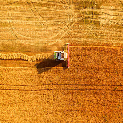 ¿CUÁLES SON LAS BUENAS PRÁCTICAS AGRÍCOLAS?