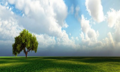 Ispezioni ambientali